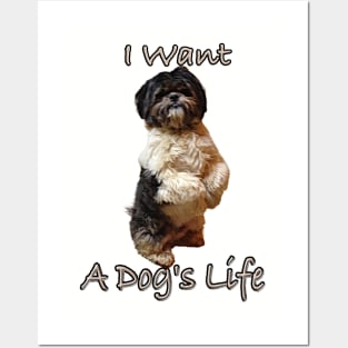 Begging Shih Tzu PuppyT-Shirt mug coffee mug apparel hoodie sticker gift I want a dog's life Posters and Art